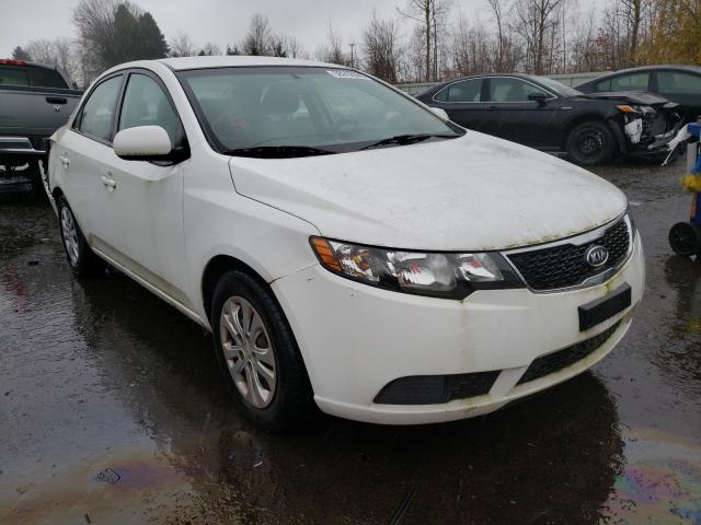 KIA FORTE LX 2013 knaft4a2xd5666071