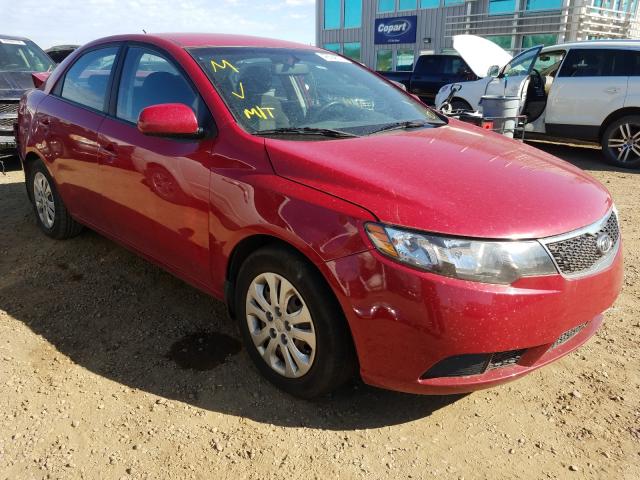 KIA FORTE LX 2013 knaft4a2xd5667950