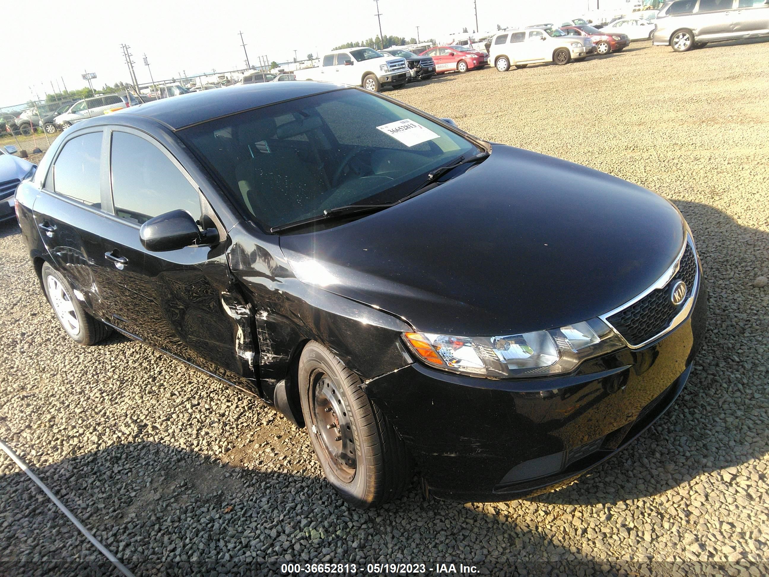 KIA FORTE 2013 knaft4a2xd5716385