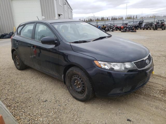 KIA FORTE LX 2012 knaft5a23c5617881