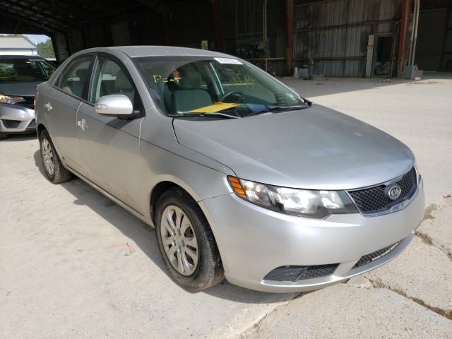 KIA FORTE EX 2010 knafu4a20a5049299