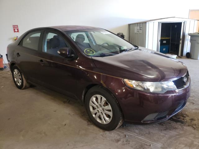 KIA FORTE EX 2010 knafu4a20a5051537