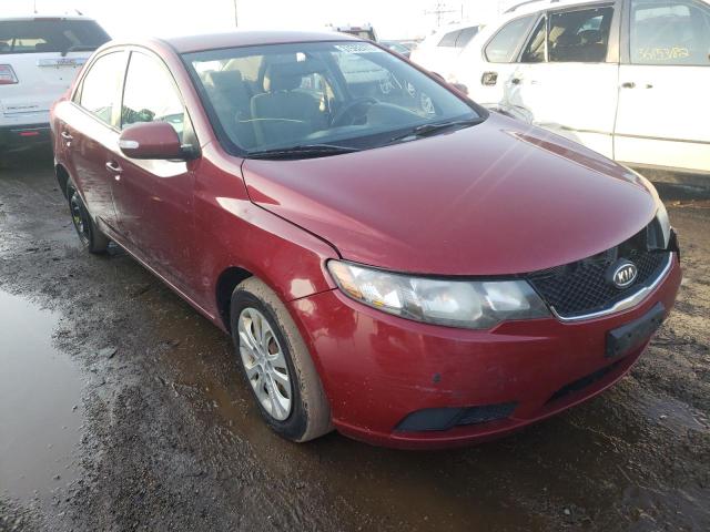 KIA FORTE EX 2010 knafu4a20a5053157