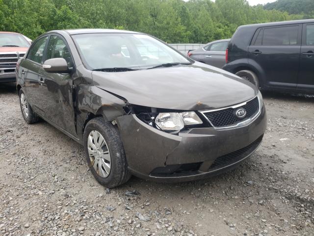 KIA FORTE EX 2010 knafu4a20a5061436