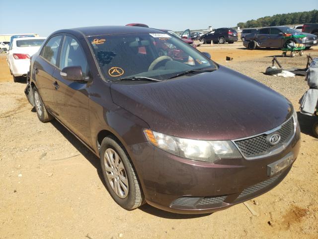 KIA FORTE EX 2010 knafu4a20a5063431