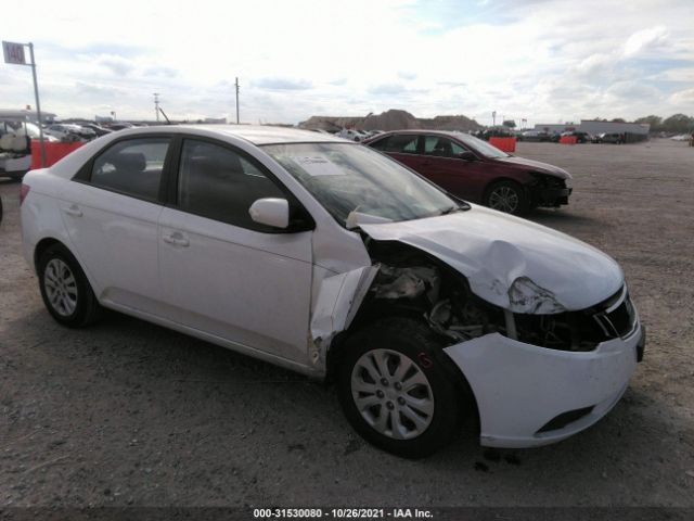 KIA FORTE 2010 knafu4a20a5068029