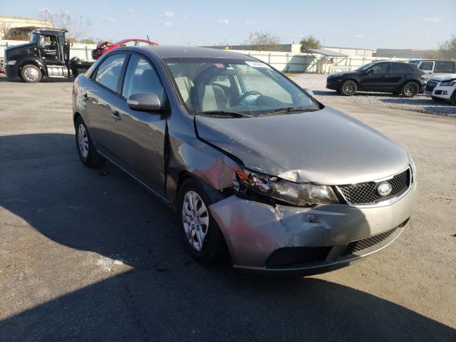 KIA FORTE EX 2010 knafu4a20a5068208