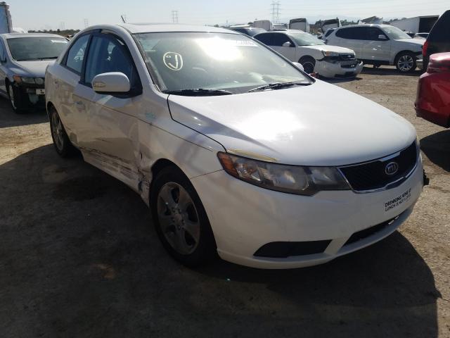 KIA FORTE EX 2010 knafu4a20a5069634