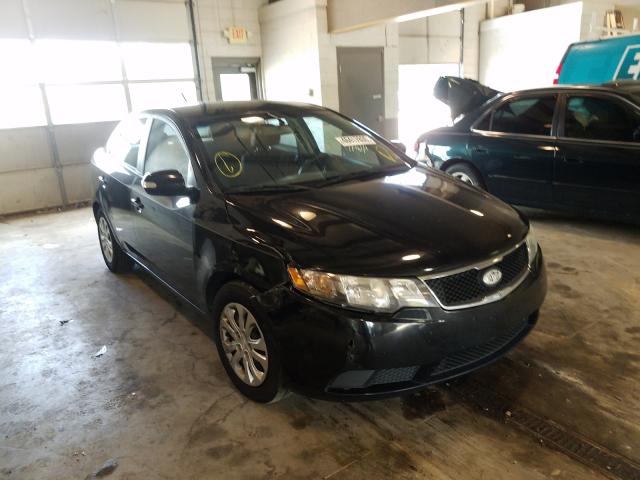 KIA FORTE EX 2010 knafu4a20a5071559