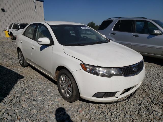 KIA FORTE EX 2010 knafu4a20a5100865