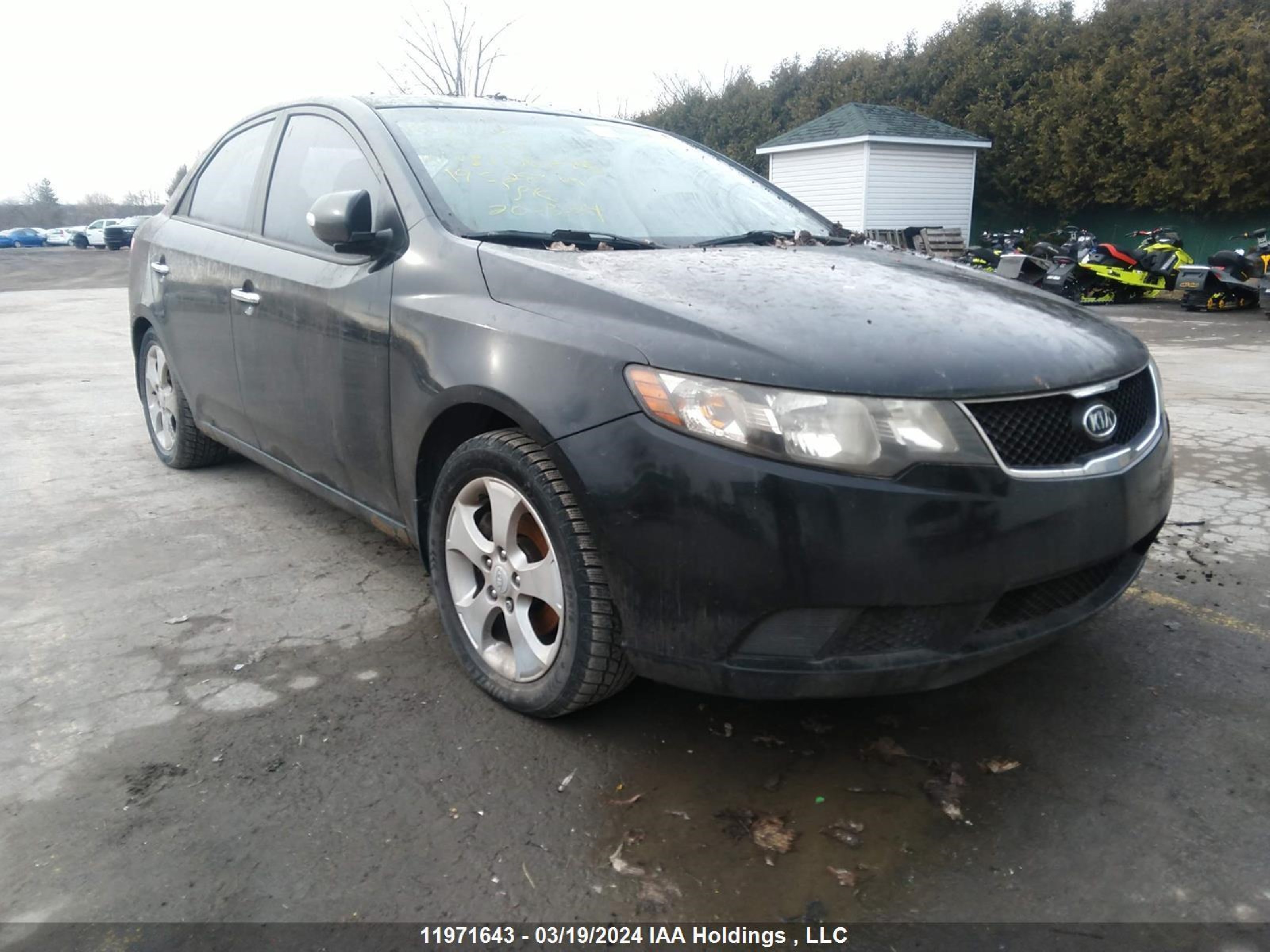 KIA FORTE 2010 knafu4a20a5106875