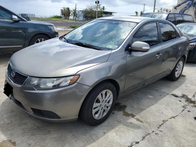 KIA FORTE EX 2010 knafu4a20a5111056