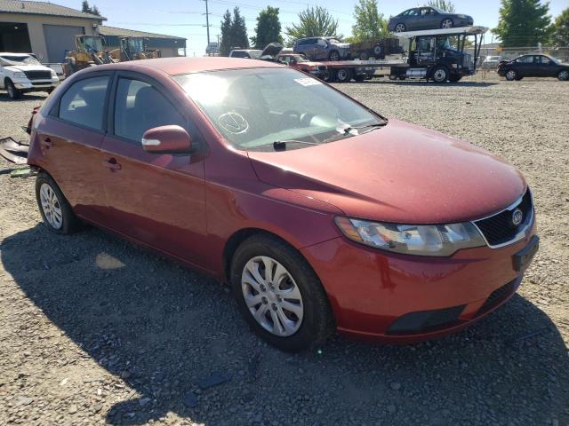 KIA FORTE 2010 knafu4a20a5112689