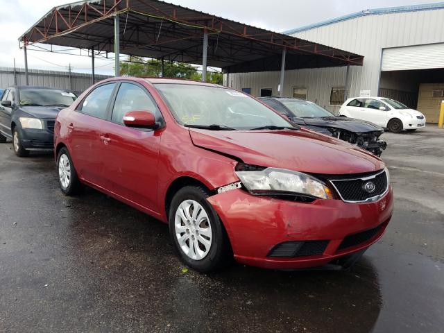 KIA FORTE EX 2010 knafu4a20a5117097