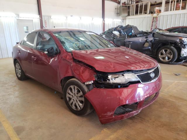 KIA FORTE EX 2010 knafu4a20a5117116