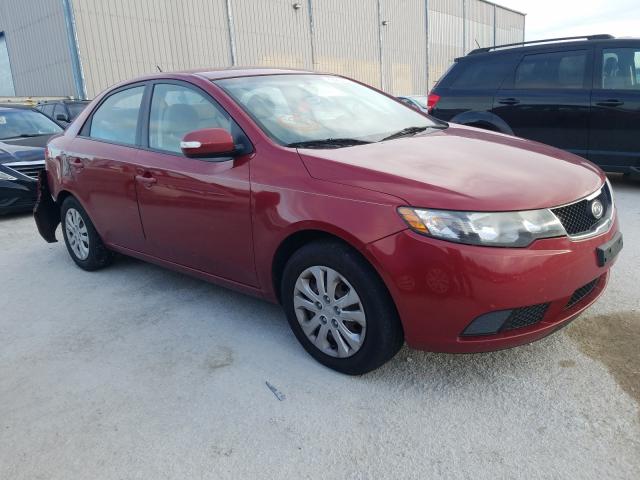 KIA FORTE EX 2010 knafu4a20a5117133