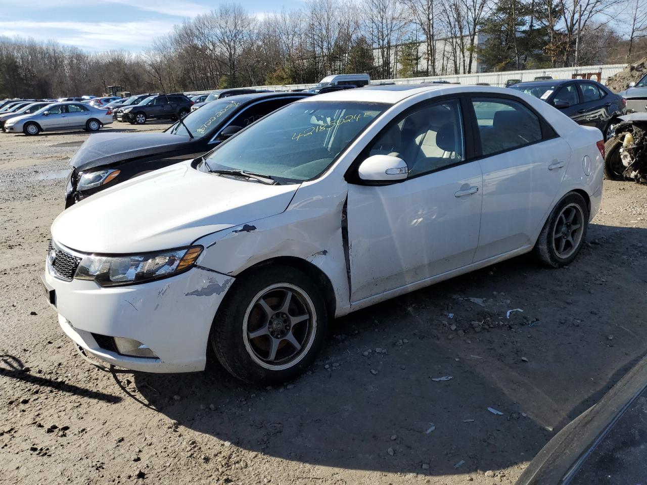 KIA FORTE 2010 knafu4a20a5127547