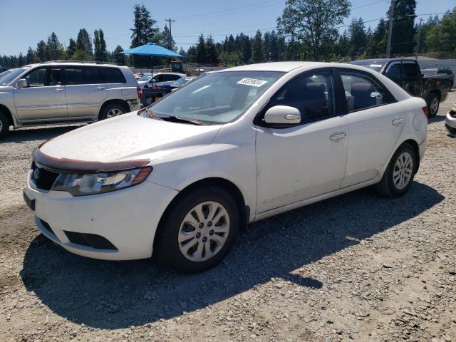 KIA FORTE EX 2010 knafu4a20a5129153