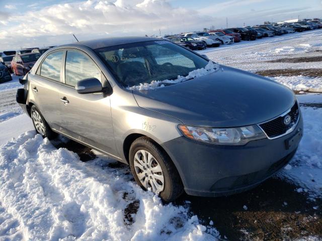 KIA FORTE EX 2010 knafu4a20a5147281