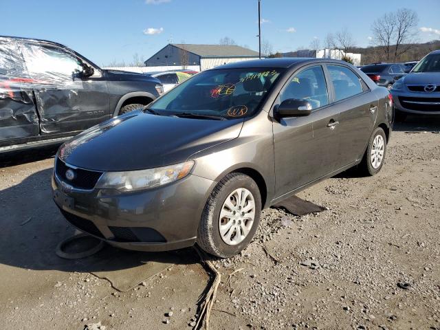 KIA FORTE EX 2010 knafu4a20a5171211