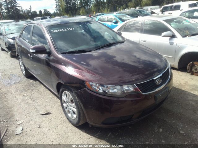 KIA FORTE 2010 knafu4a20a5175145