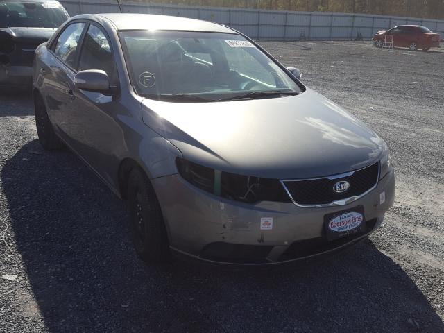 KIA FORTE EX 2010 knafu4a20a5176070