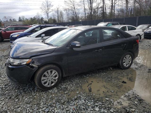 KIA FORTE 2010 knafu4a20a5176263