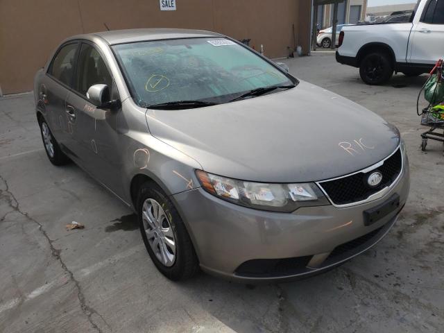 KIA FORTE EX 2010 knafu4a20a5177235