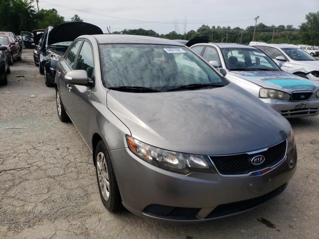 KIA FORTE EX 2010 knafu4a20a5187554