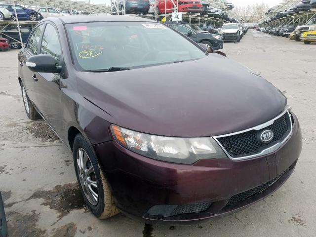 KIA FORTE EX 2010 knafu4a20a5220231