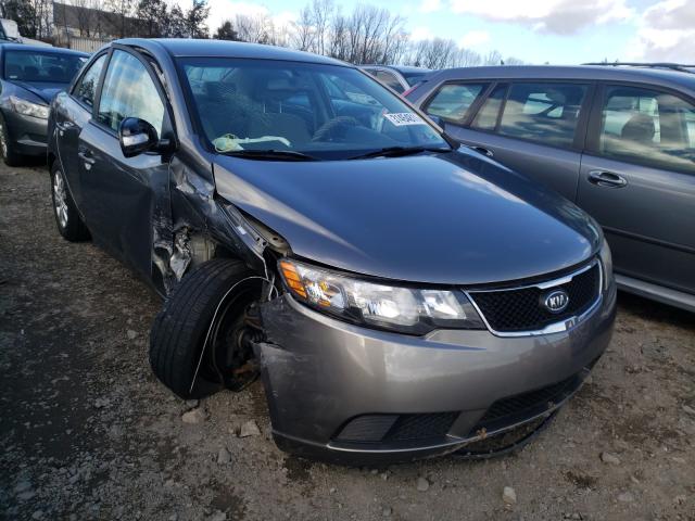 KIA FORTE EX 2010 knafu4a20a5223145