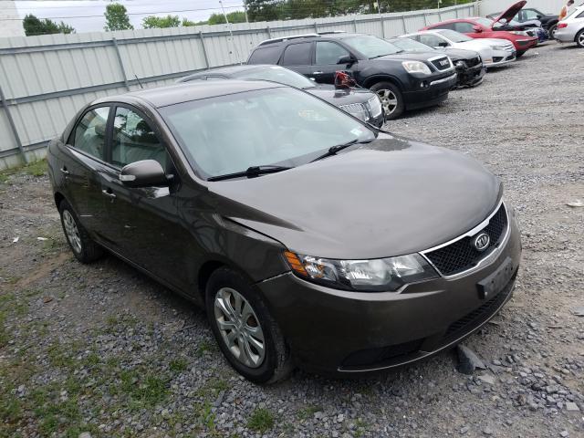 KIA FORTE EX 2010 knafu4a20a5223355