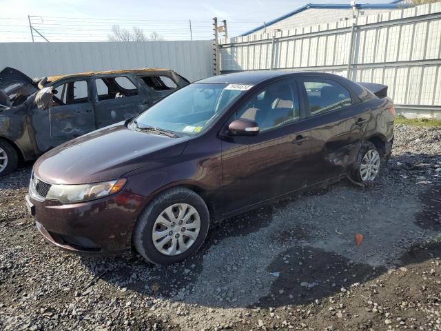 KIA FORTE EX 2010 knafu4a20a5224036