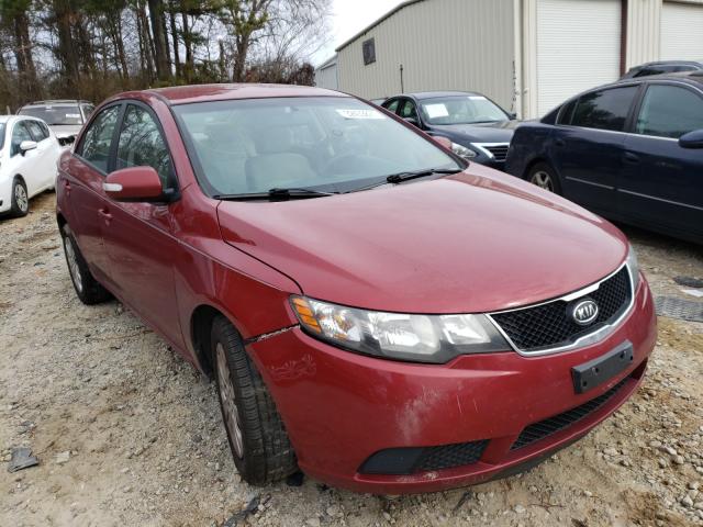 KIA FORTE EX 2010 knafu4a20a5224957