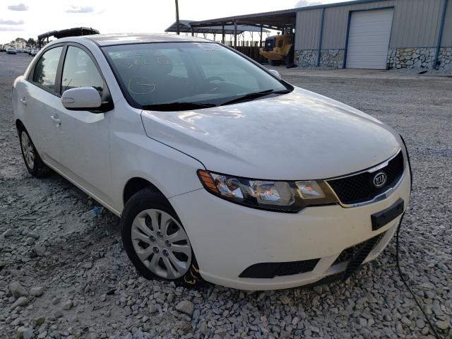 KIA FORTE 2010 knafu4a20a5236266