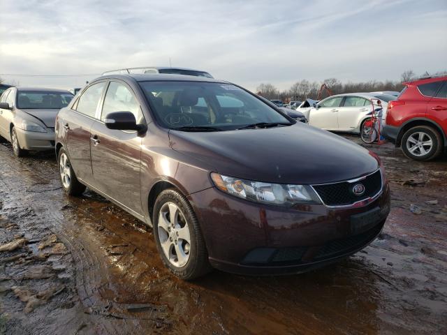 KIA FORTE EX 2010 knafu4a20a5243119