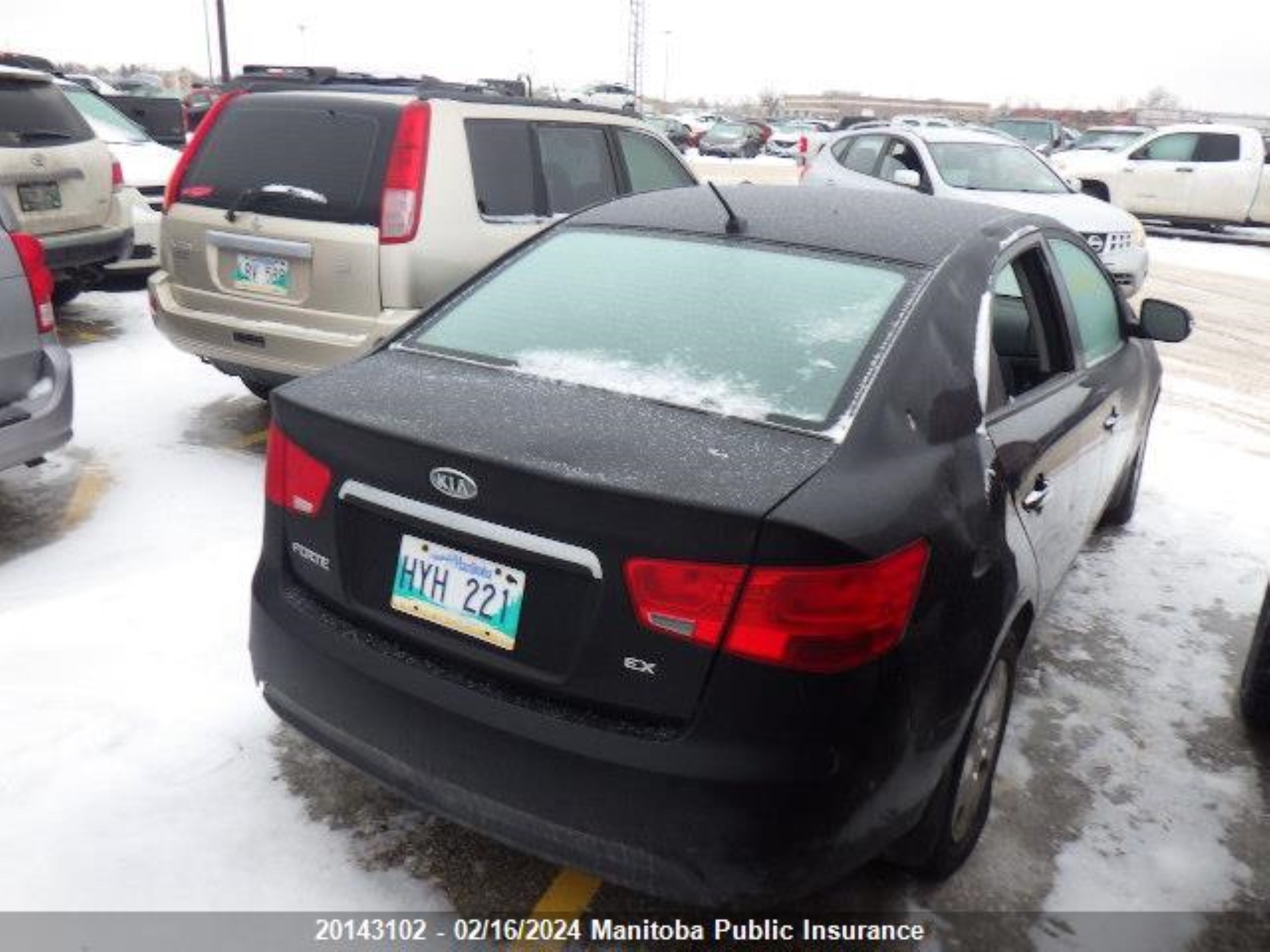 KIA FORTE 2010 knafu4a20a5267825