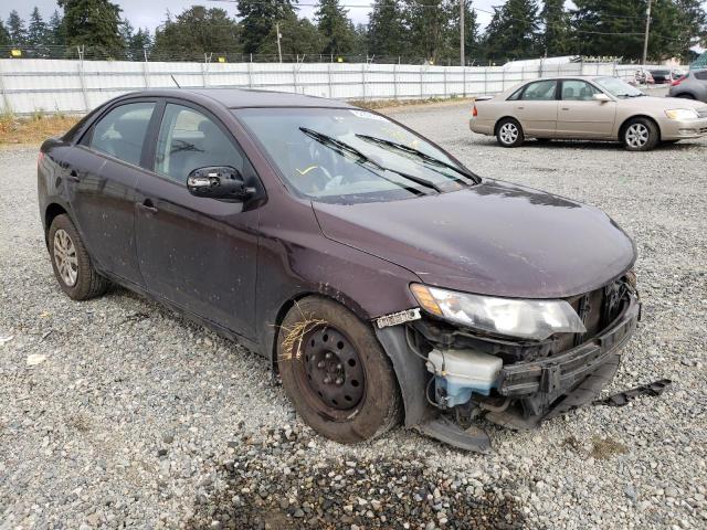 KIA FORTE EX 2010 knafu4a20a5271230