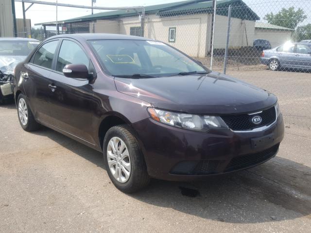 KIA FORTE EX 2010 knafu4a20a5272183