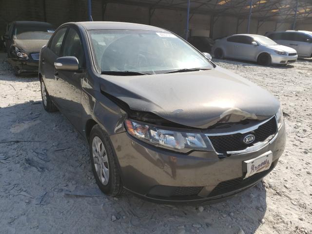 KIA FORTE EX 2010 knafu4a20a5273799