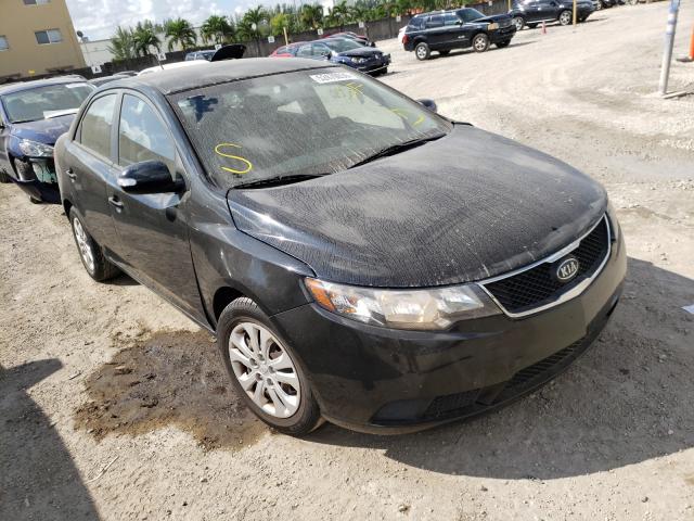 KIA FORTE EX 2010 knafu4a20a5282731