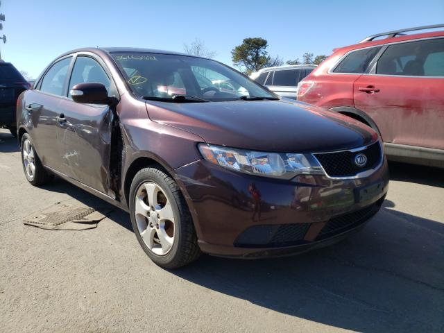 KIA FORTE EX 2010 knafu4a20a5286892