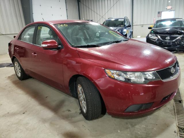 KIA FORTE EX 2010 knafu4a20a5291199