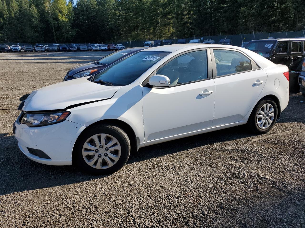 KIA FORTE 2010 knafu4a20a5295480