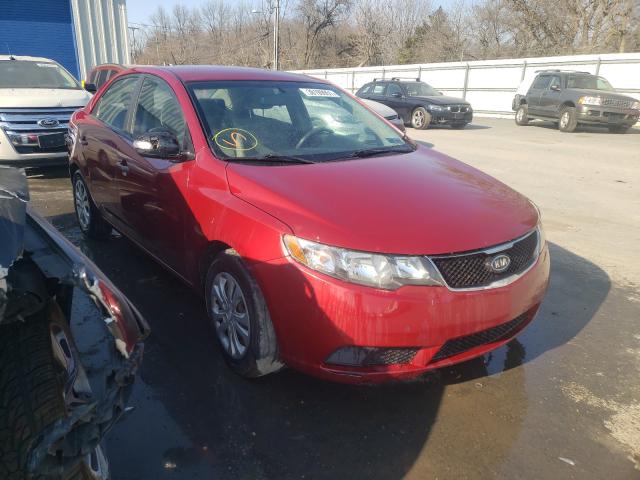 KIA FORTE EX 2010 knafu4a20a5298458