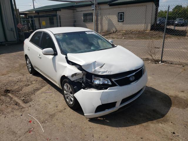 KIA FORTE EX 2010 knafu4a20a5826905