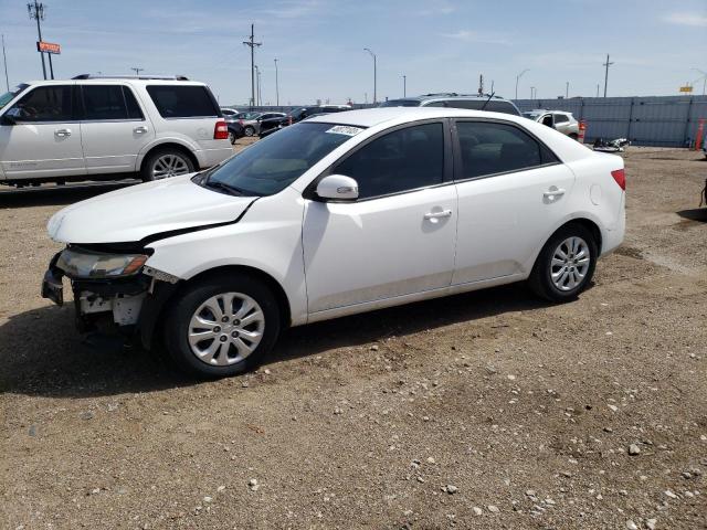 KIA FORTE EX 2010 knafu4a20a5829321