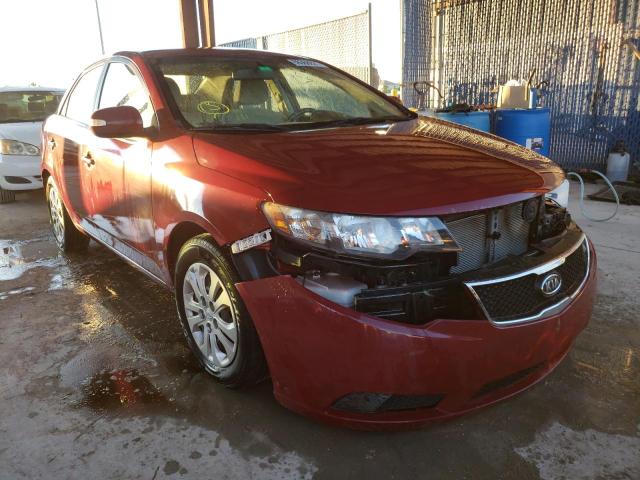 KIA FORTE EX 2010 knafu4a20a5834969