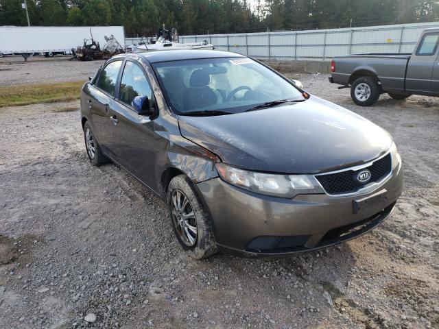 KIA FORTE EX 2010 knafu4a20a5836382