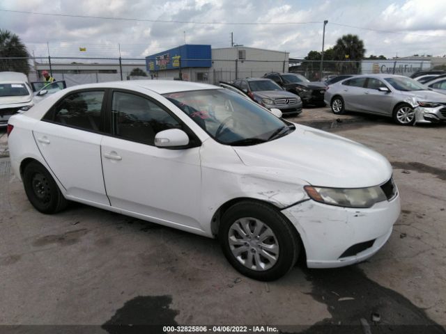 KIA FORTE 2010 knafu4a20a5837659